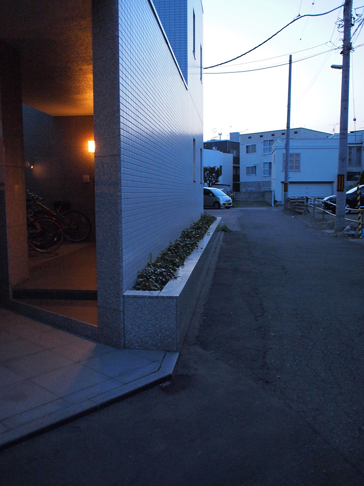 1）建物脇の細長い植栽スペース